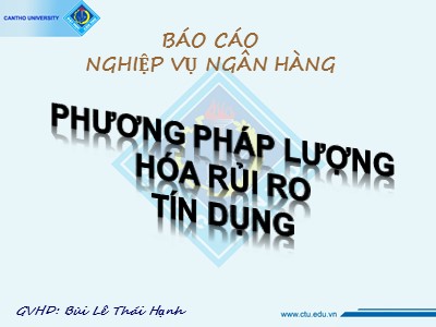 Báo cáo nghiệp vụ ngân hàng - Phương pháp lượng hóa rủi ro tín dụng