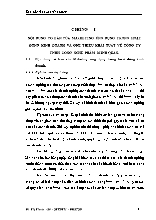 Báo cáo thực tập Marketing ứng dụng trong hoạt động kinh doanh và giới thiệu khái quát về công ty TNHH công nghệ phẩm Minh Quân