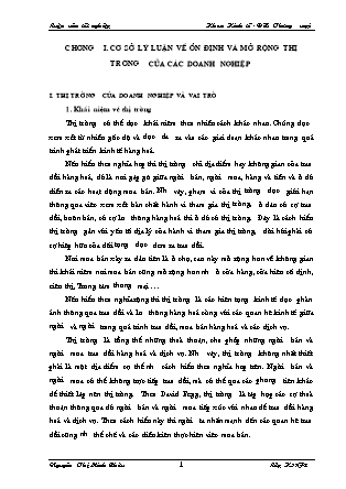 Đề tài Cơ sở lý luận về ổn định và mở rộng thị trường của các Doanh nghiệp