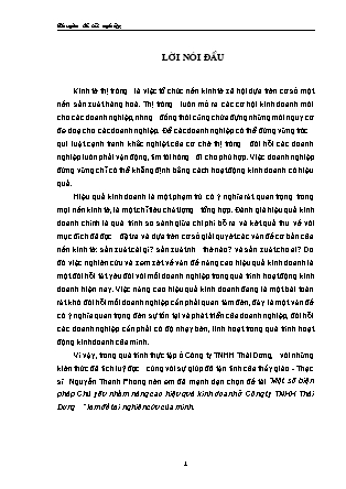 Đề tài Một số biện pháp Chủ yếu nhằm nâng cao hiệu quả kinh doanh ở Công ty TNHH Thái Dương