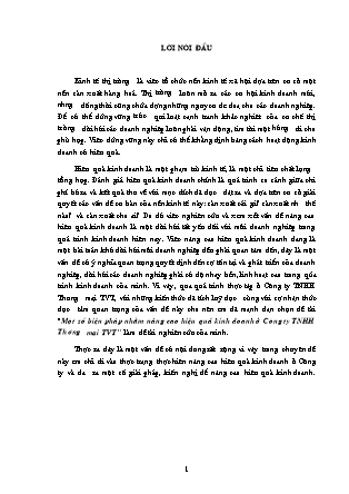 Đề tài Một số biện pháp nhằm nâng cao hiệu quả kinh doanh ở Công ty TNHH Thương mại TVT