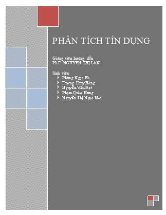 Đề tài Phân tích Báo cáo tài chính Công ty CP bánh kẹo Hải Hà