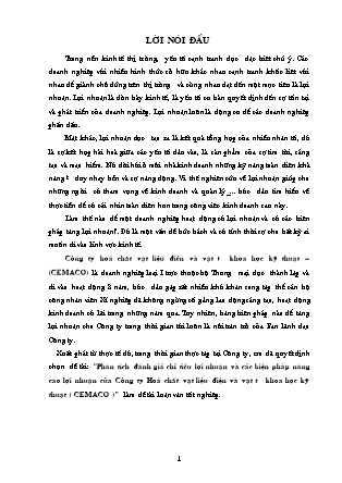 Đề tài Phân tích đánh giá chỉ tiêu lợi nhuận và các biện pháp nâng cao lợi nhuận của công ty hoá chất vật liệu điện và vật tư khoa học kỹ thuật (Cemaco)
