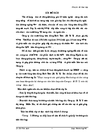 Đề tài Thực trạng và các giải pháp Marketing nh ằm nâng cao hoạt động của hệ thống xúc tiến hỗn hợp của Công ty Bi Ti S trên thị trường Miền Bắc