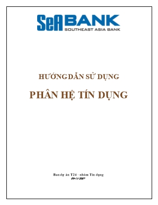 Hướng dẫn sử dụng phân hệ tín dụng