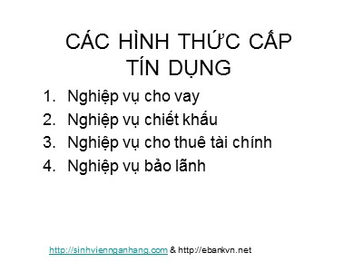 Nghiệp vụ ngân hàng - Các hình thức cấp tín dụng