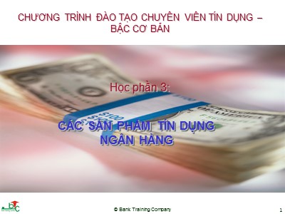 Nghiệp vụ ngân hàng - Các sản phẩm tín dụng ngân hàng