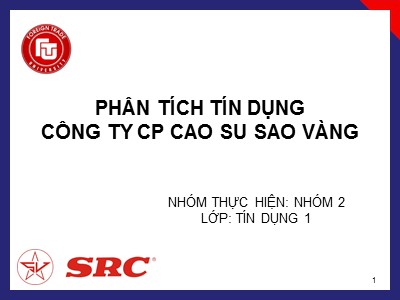 Nghiệp vụ ngân hàng - Phân tích tín dụng công ty CP cao su sao vàng