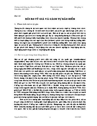 Phân tích tài chính - Bài 14: Rủi ro tỷ giá và cách tự bảo hiểm