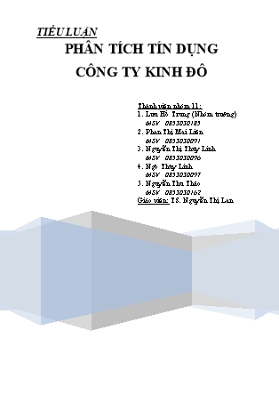 Tiểu luận Phân tích tín dụng công ty Kinh Đô