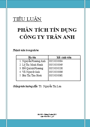 Tiểu luận Phân tích tín dụng công ty Trần Anh