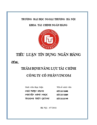 Tiểu luận Tín dụng ngân hàng - Thẩm định năng lực tài chính công ty cổ phần Vincom